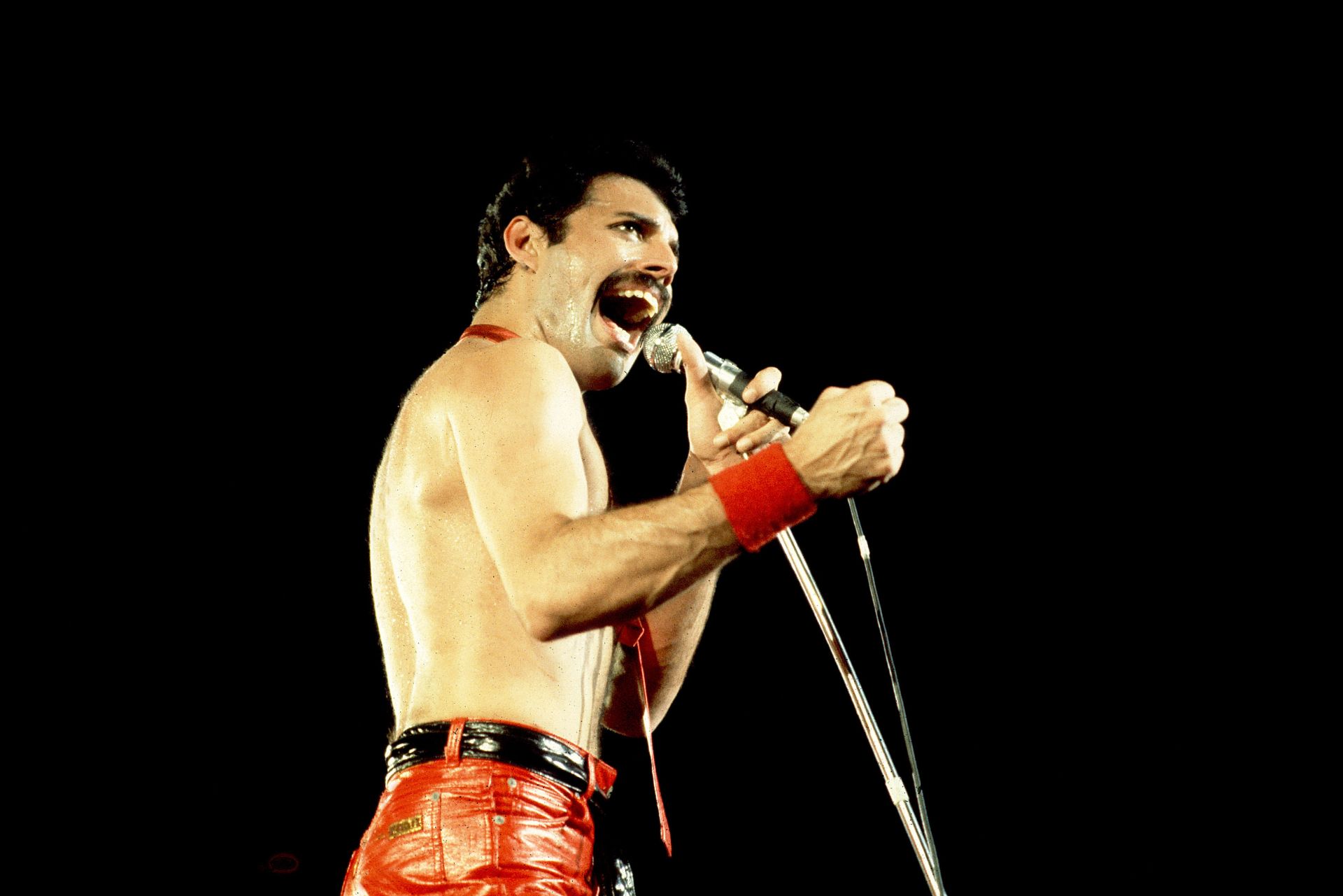Το μεγάλο μυστικό του Freddie Mercury - Τι αποκαλύπτει μια νέα βιογραφία - εικόνα 1