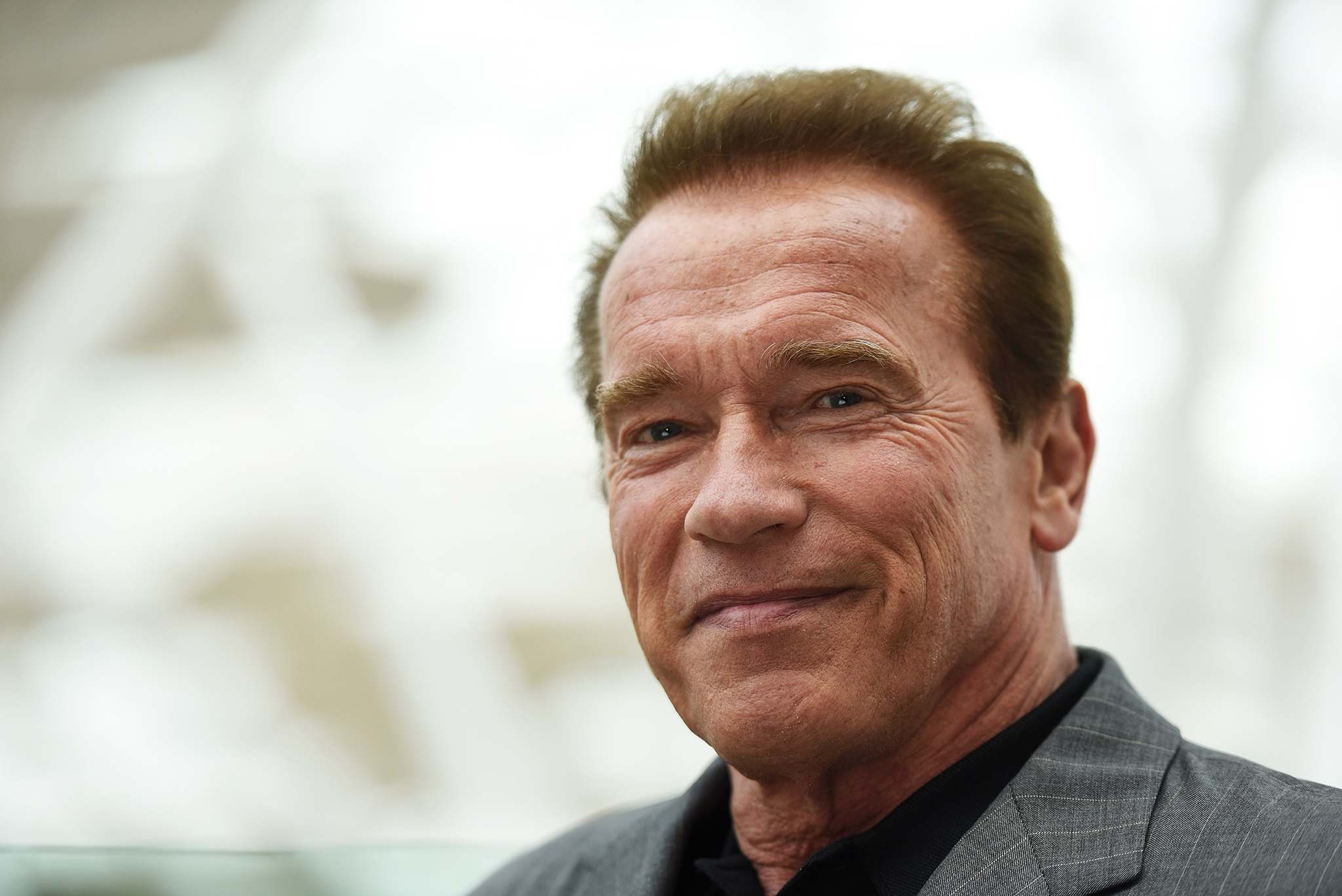 Πώς ο Arnold Schwarzenegger απέκτησε το πιο εντυπωσιακό θώρακα του Χόλιγουντ - εικόνα 1