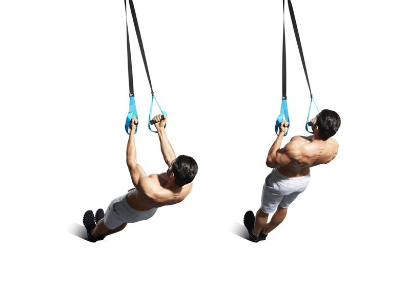 TRX κάμψεις