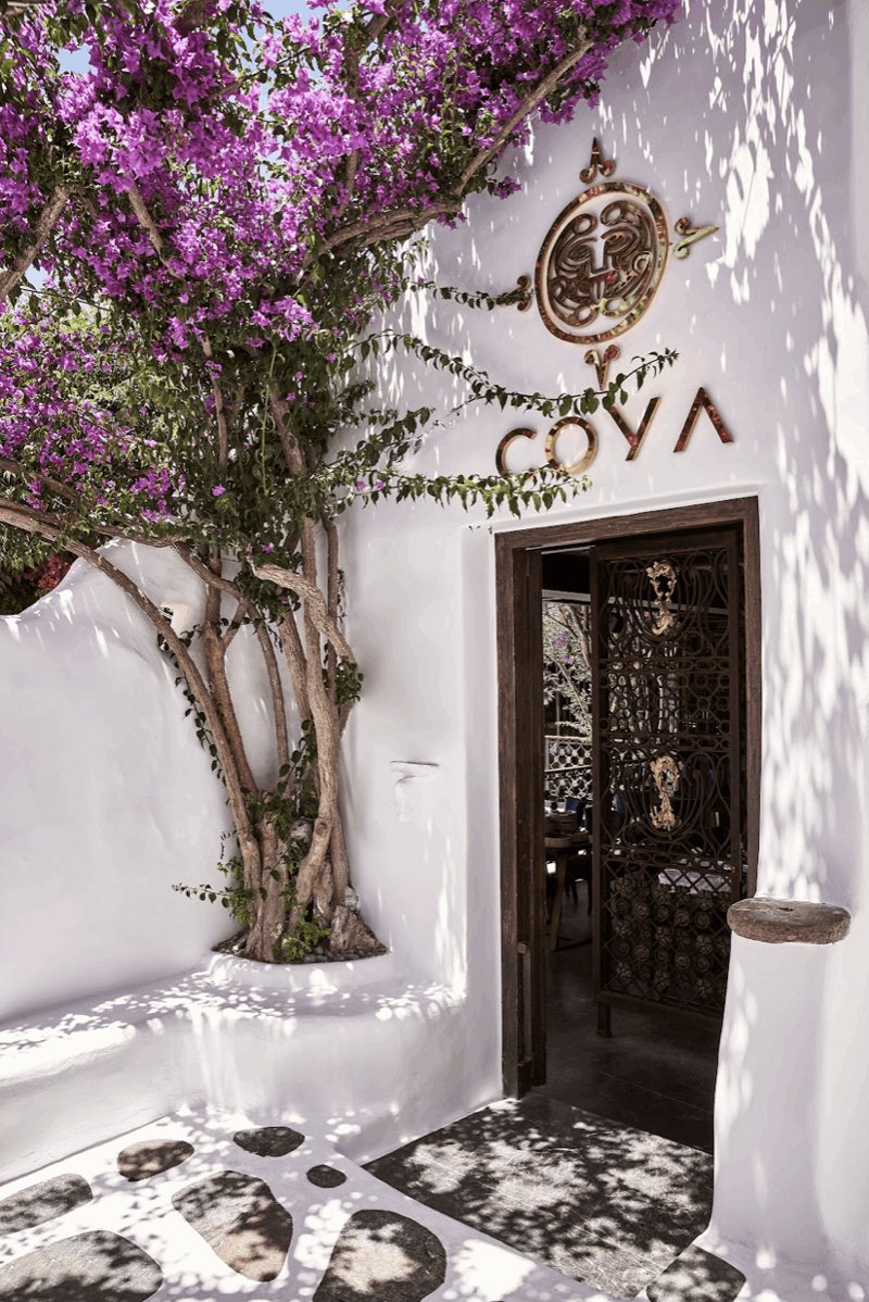COYA MYKONOS 2022 2