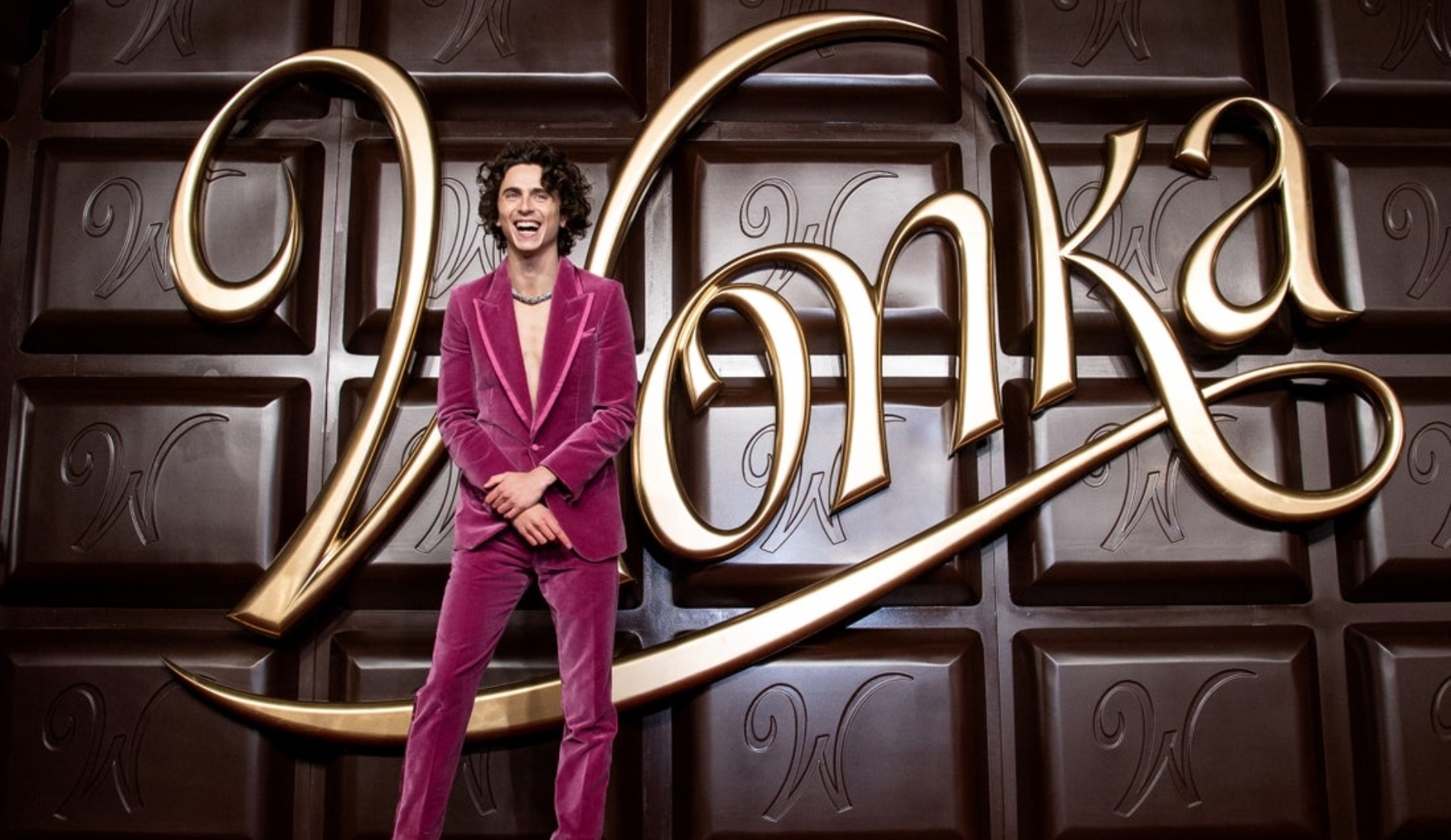 Εσύ θα φορούσες το κροκό κοστούμι του Timothée Chalamet; - εικόνα 2
