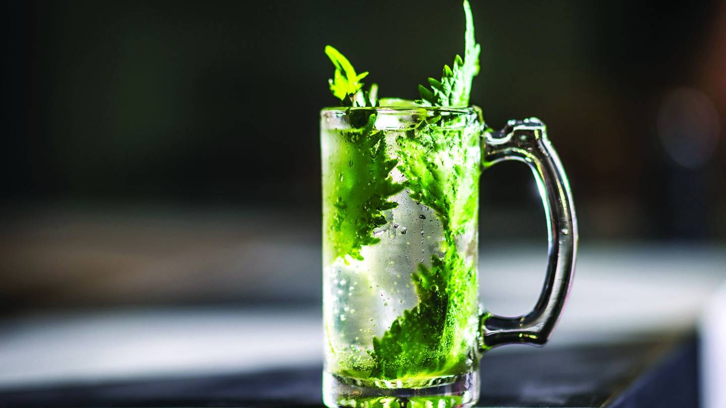 Οι μεγάλες προσδοκίες του highball