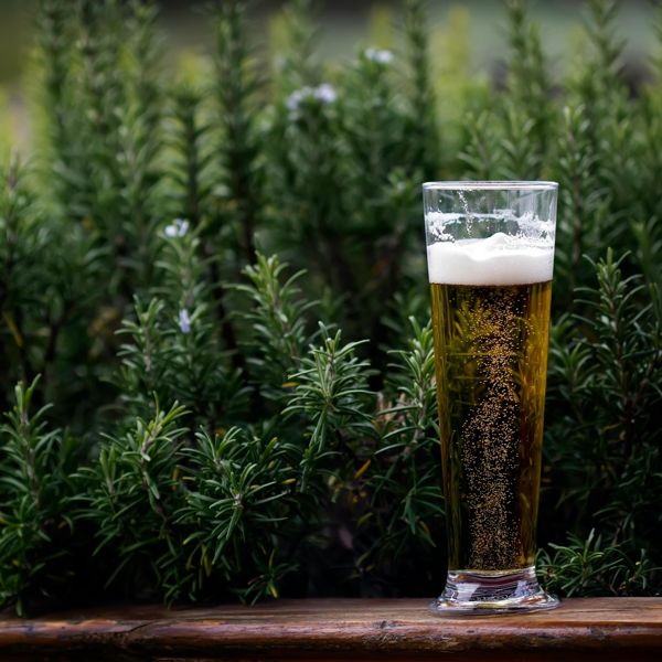 Τι πραγματικά κάνει το αλκοόλ στην πρόοδό σου από το γυμναστήριο