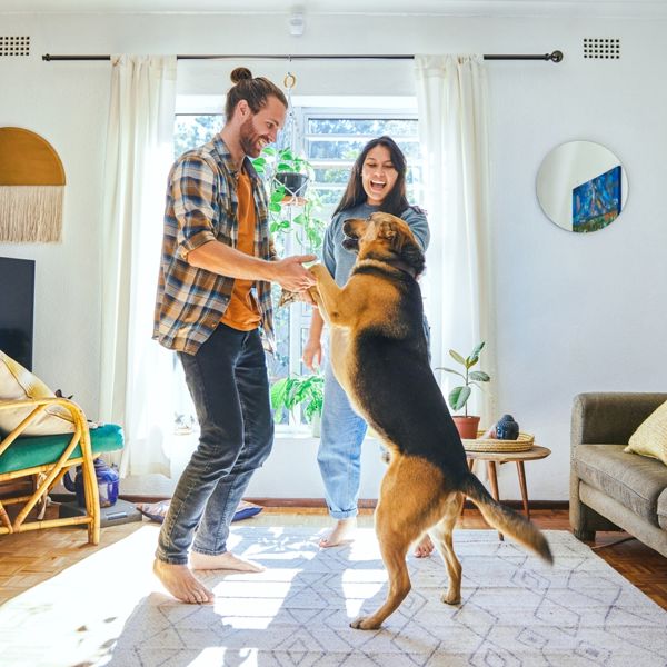 My Pet My Home: Ενέργεια για ό,τι νιώθεις οικογένειά σου