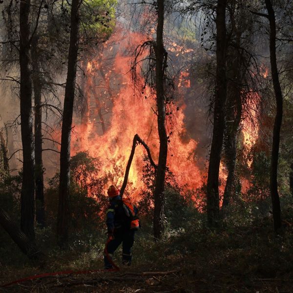 Πώς η Ελλάδα χρησιμοποιεί την τεχνητή νοημοσύνη για τις πυρκαγιές