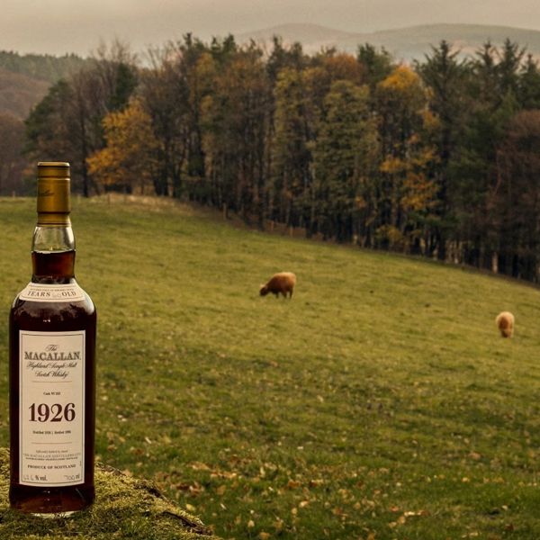 The Macallan 1926: Το ακριβότερο whisky του κόσμου βγαίνει ξανά σε δημοπρασία