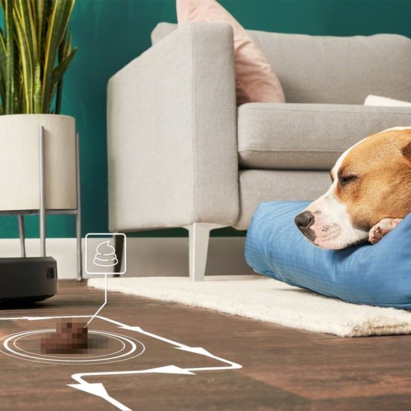 Ένα ρομπότ στην υπηρεσία κάθε εργένη, pet lover ή μπαμπά
