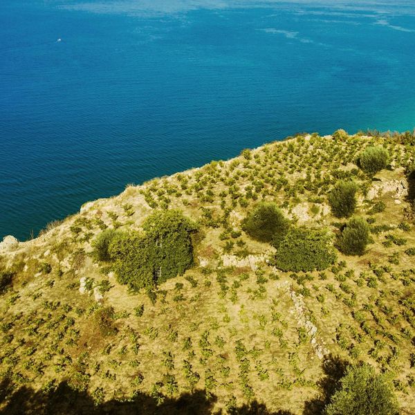 Ήρθε η ώρα να μιλήσουμε σοβαρά για το κρασί της Κεφαλονιάς