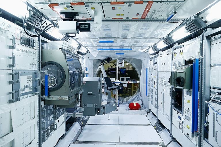 SPACE BACTERIA 2