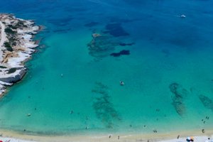 Μωβ μέδουσα: Οι περιοχές στην Ελλάδα με το μεγαλύτερο πρόβλημα - εικόνα 2
